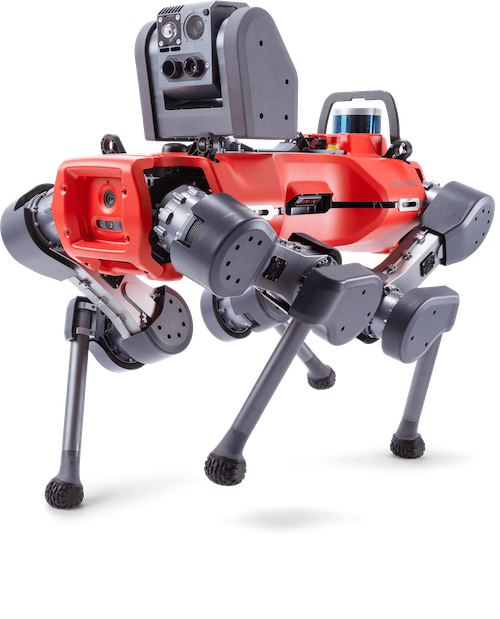 ANYmal legged robot walking